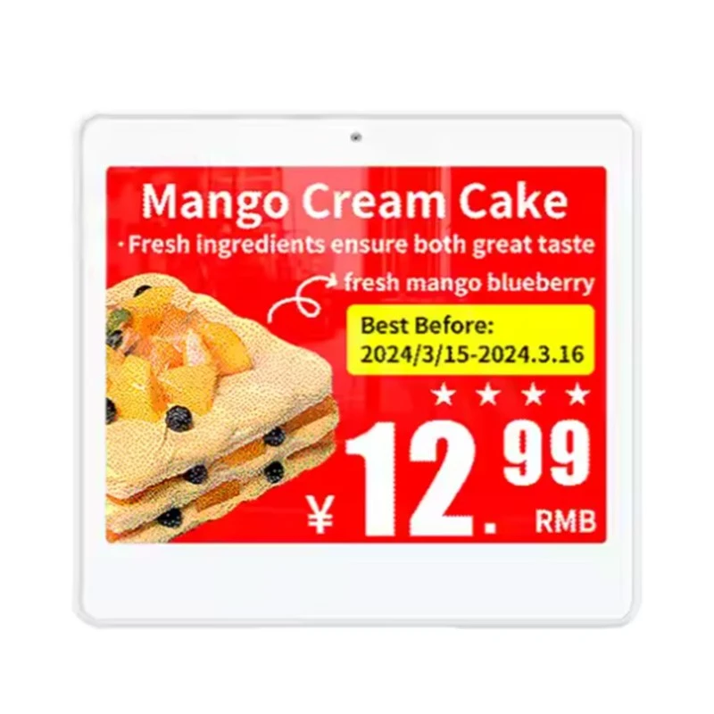 4.2 Intshi Engangeni manzi-Ithegi ye-Ink Electronic Price